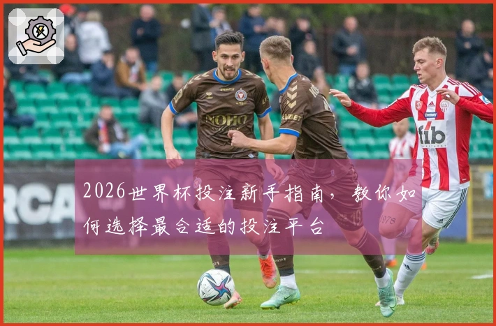 2026世界杯投注新手指南，教你如何选择最合适的投注平台
