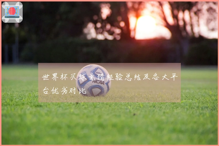 世界杯买球竞猜经验总结及各大平台优劣对比