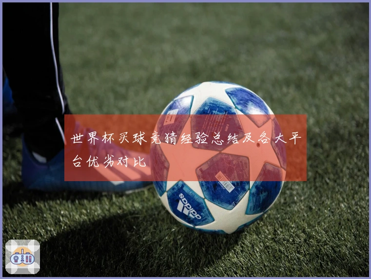 世界杯买球竞猜经验总结及各大平台优劣对比