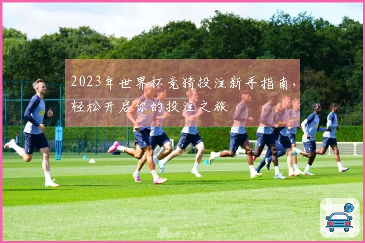 2023年世界杯竞猜投注新手指南，轻松开启你的投注之旅