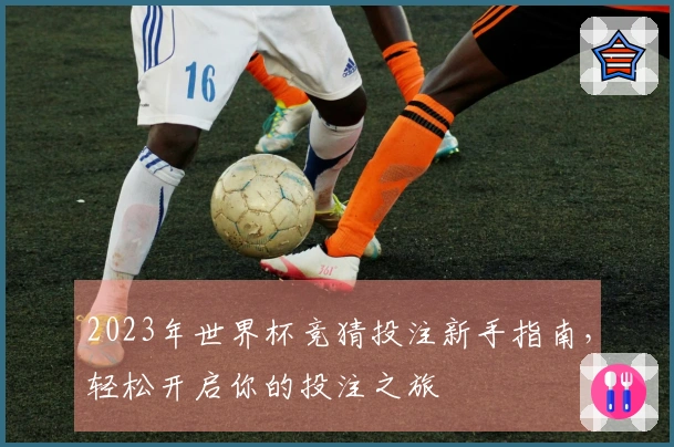 2023年世界杯竞猜投注新手指南，轻松开启你的投注之旅